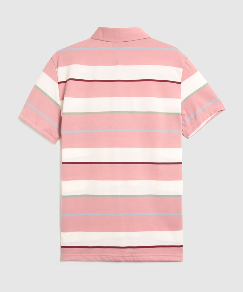 Polo Cuello Duro A Rayas