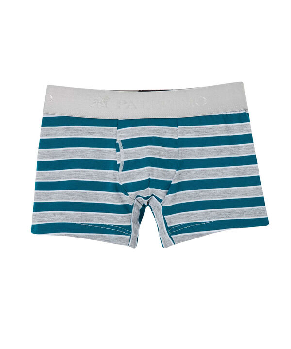 Pantaloncillo Bóxer Niño a Rayas image number null