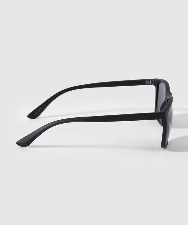 GAFAS image number null