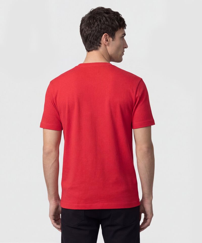 Camiseta Regular Fit Unicolor Para Hombre