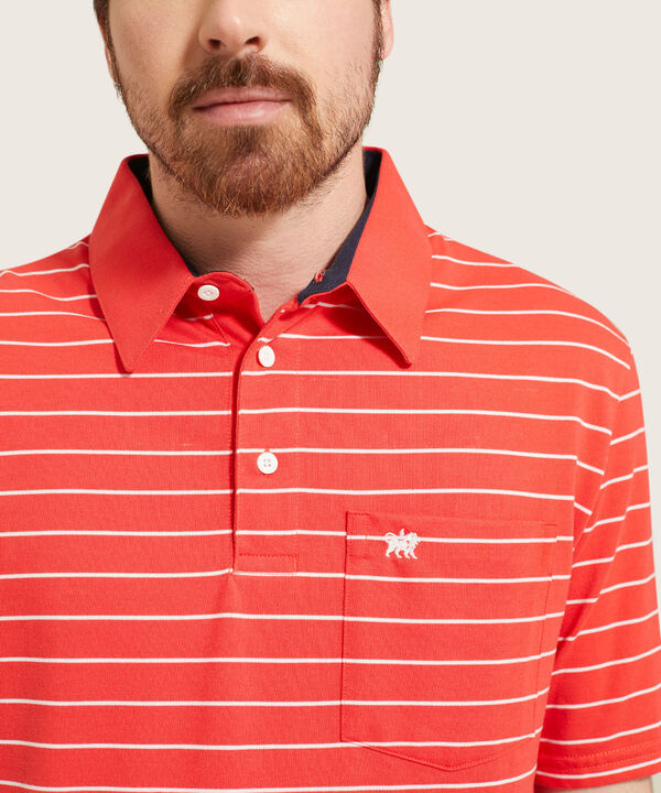 Polo Cuello Duro  Preteñido Bicolor