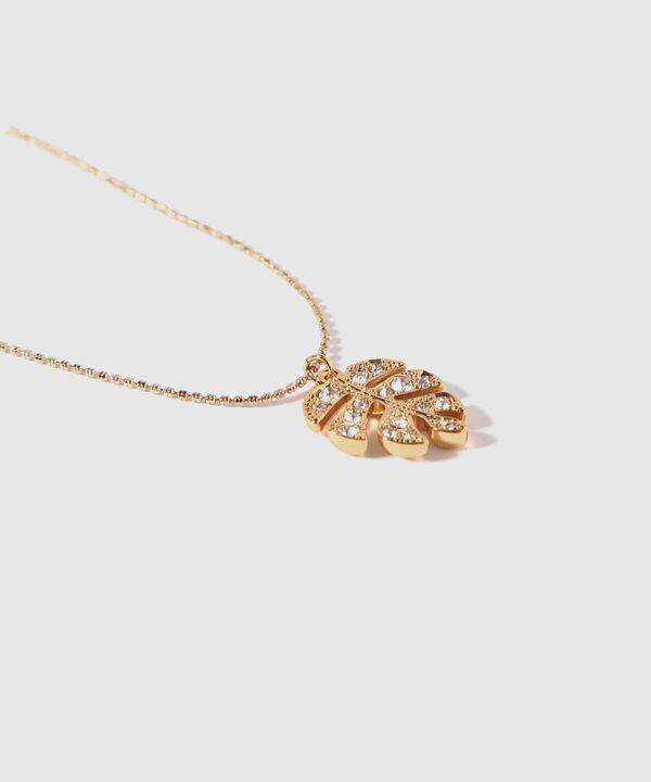 Set De Accesorios