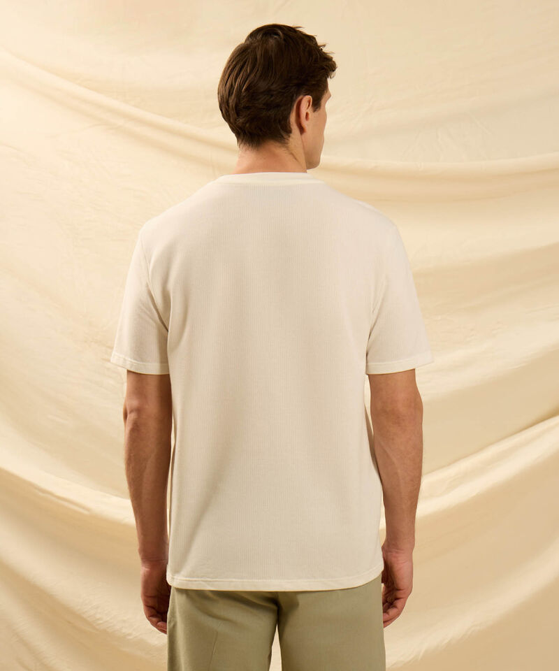 Camiseta Regular Para Hombre