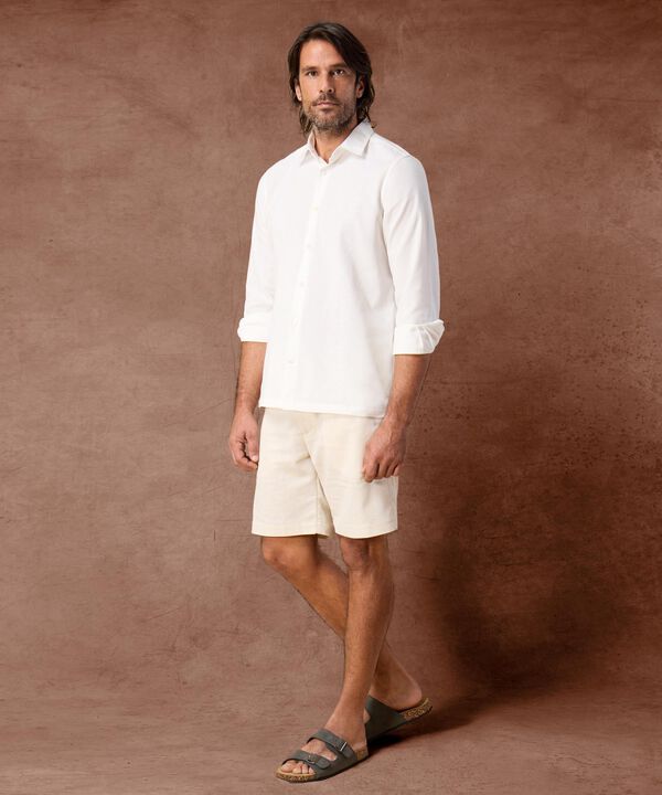 Guayabera unicolor  image number null