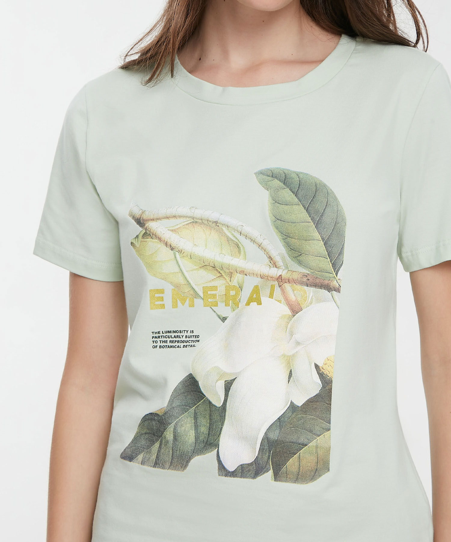 Camiseta Manga Corta Cuello