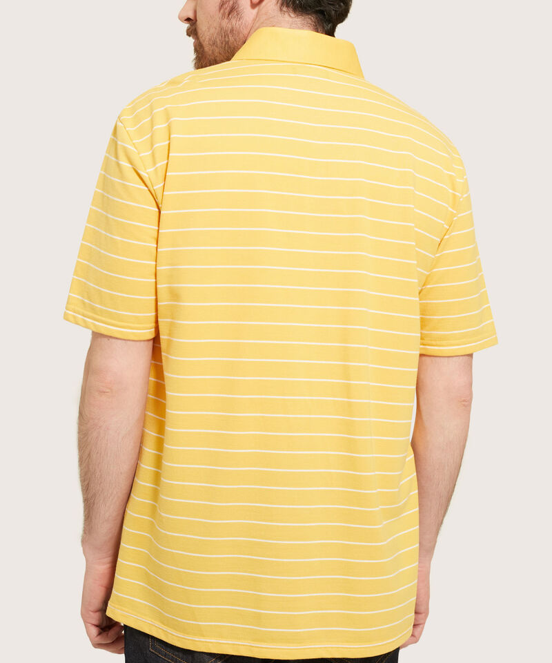 Polo Cuello Duro  Preteñido Bicolor
