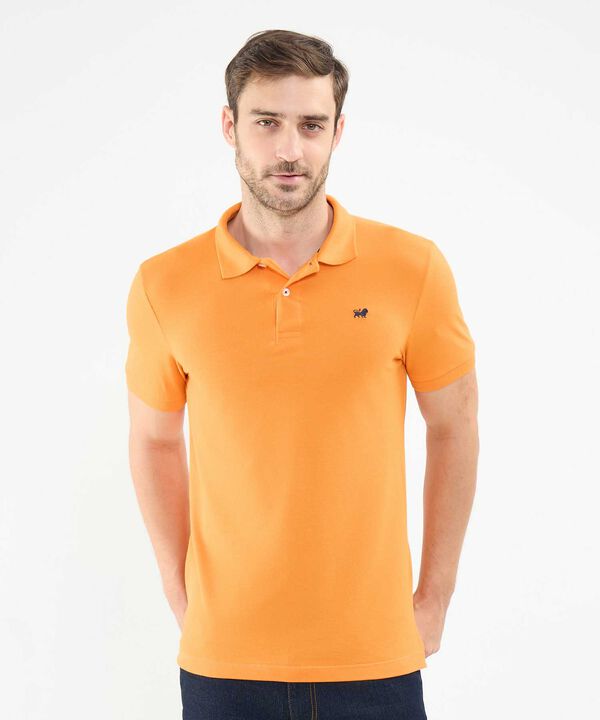 Polo Tejida image number null