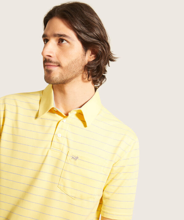 Polo Cuello Duro  Preteñido Bicolor