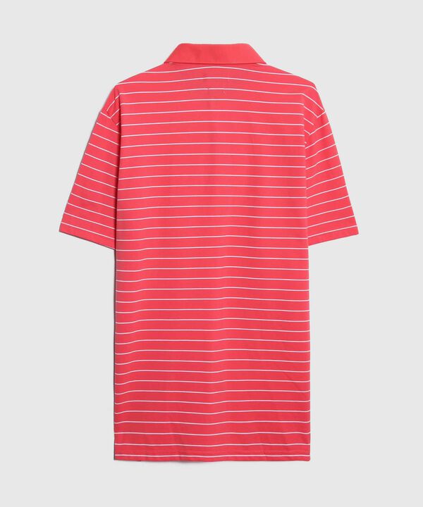 Polo Cuello Duro con Rayas image number null