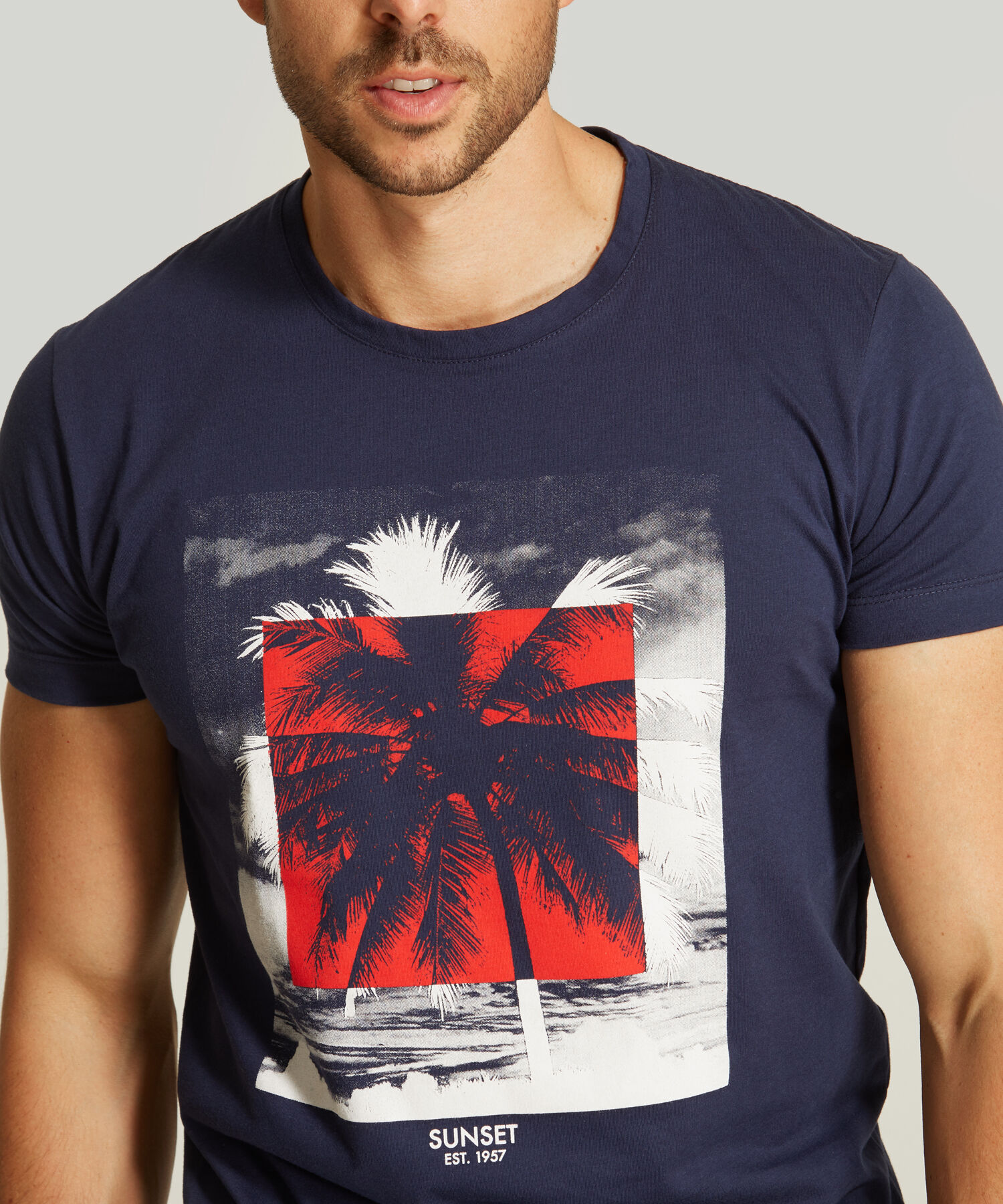 Camiseta Estampado de Palmeras