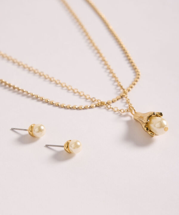 Set De Accesorios image number null
