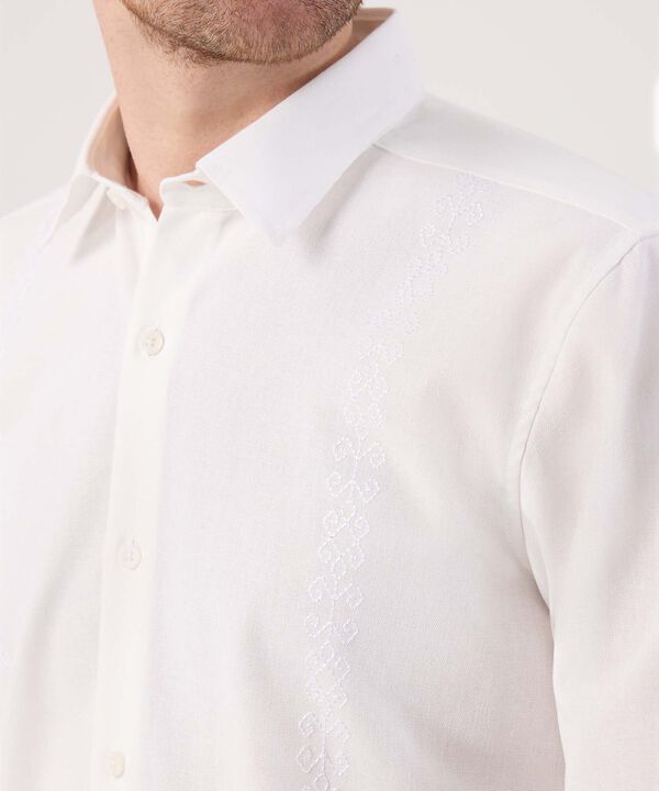 Guayabera unicolor  image number null