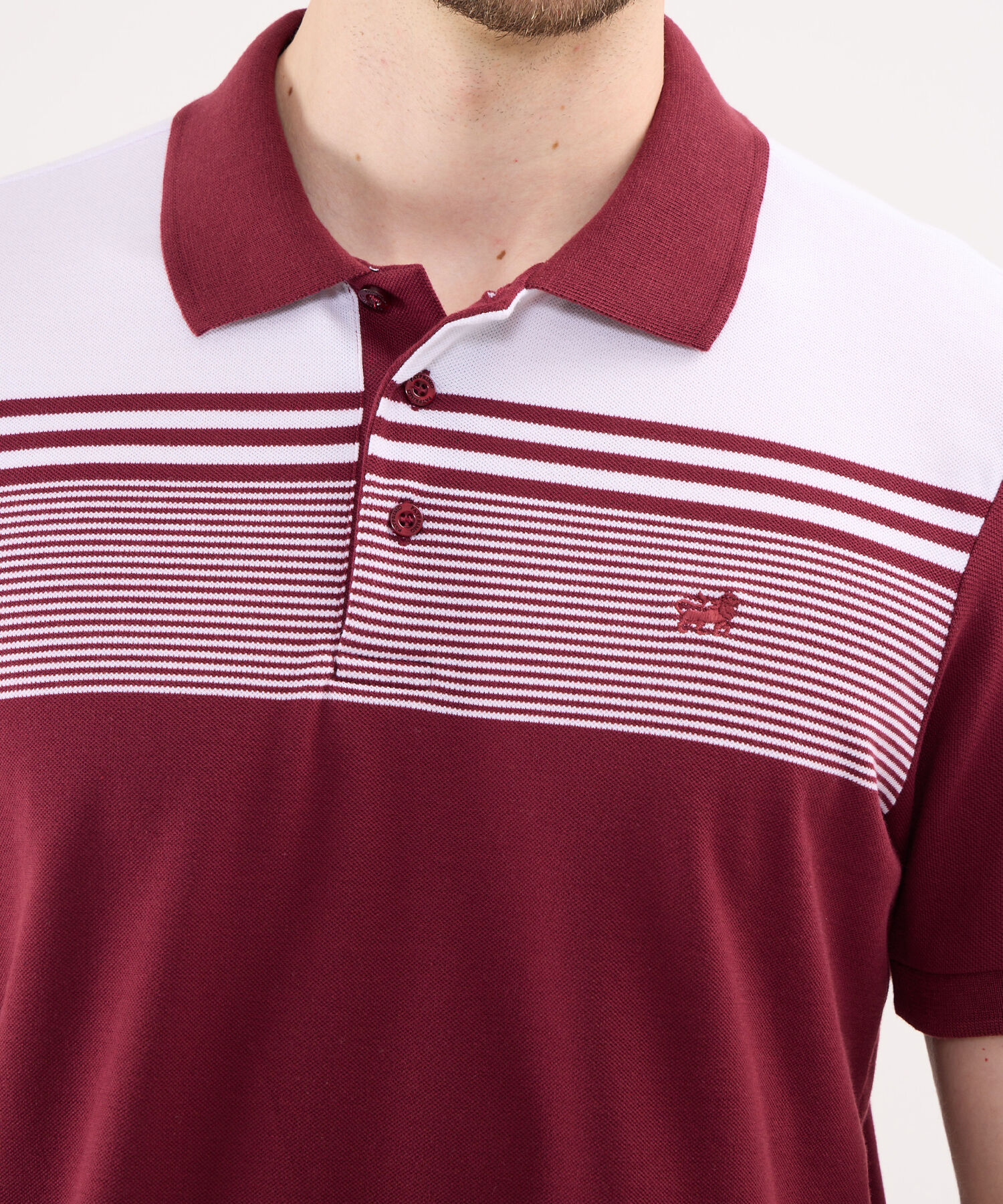 Polo Tejida con Rayas