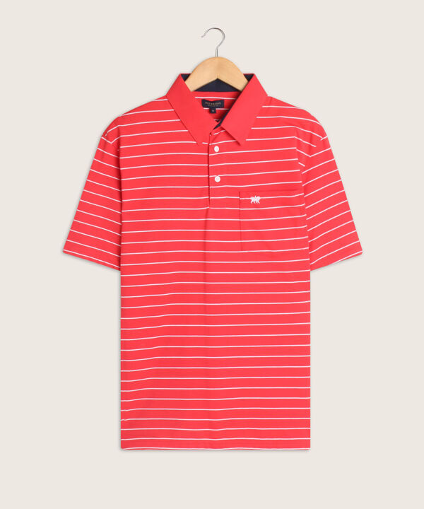 Polo Cuello Duro  Preteñido Bicolor