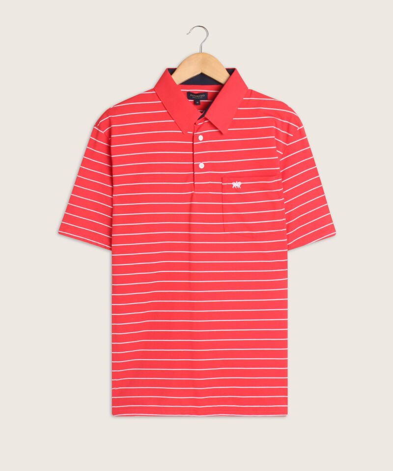 Polo Cuello Duro  Preteñido Bicolor