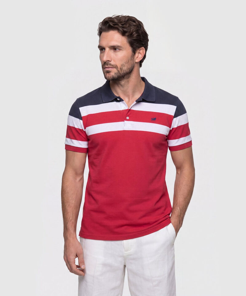 Polo Con Dise&ntilde;o De Bloques Y Franjas 