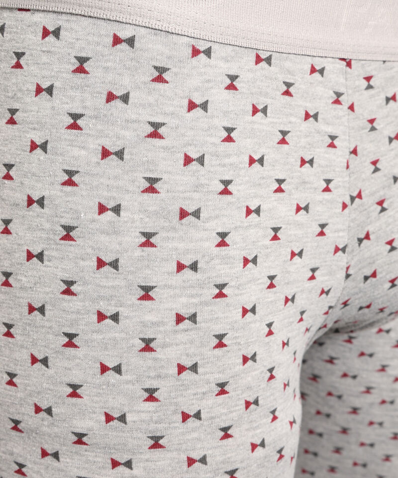 Pantaloncillo Boxer Largo Estampado