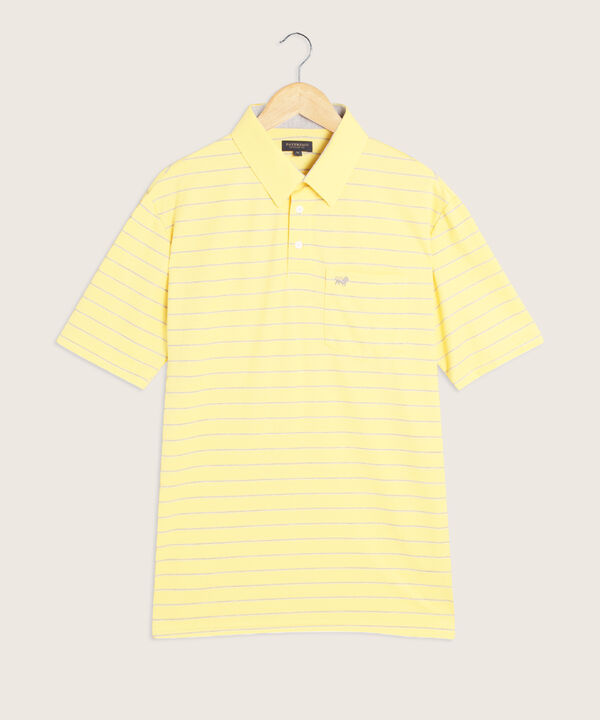 Polo Cuello Duro  Preteñido Bicolor