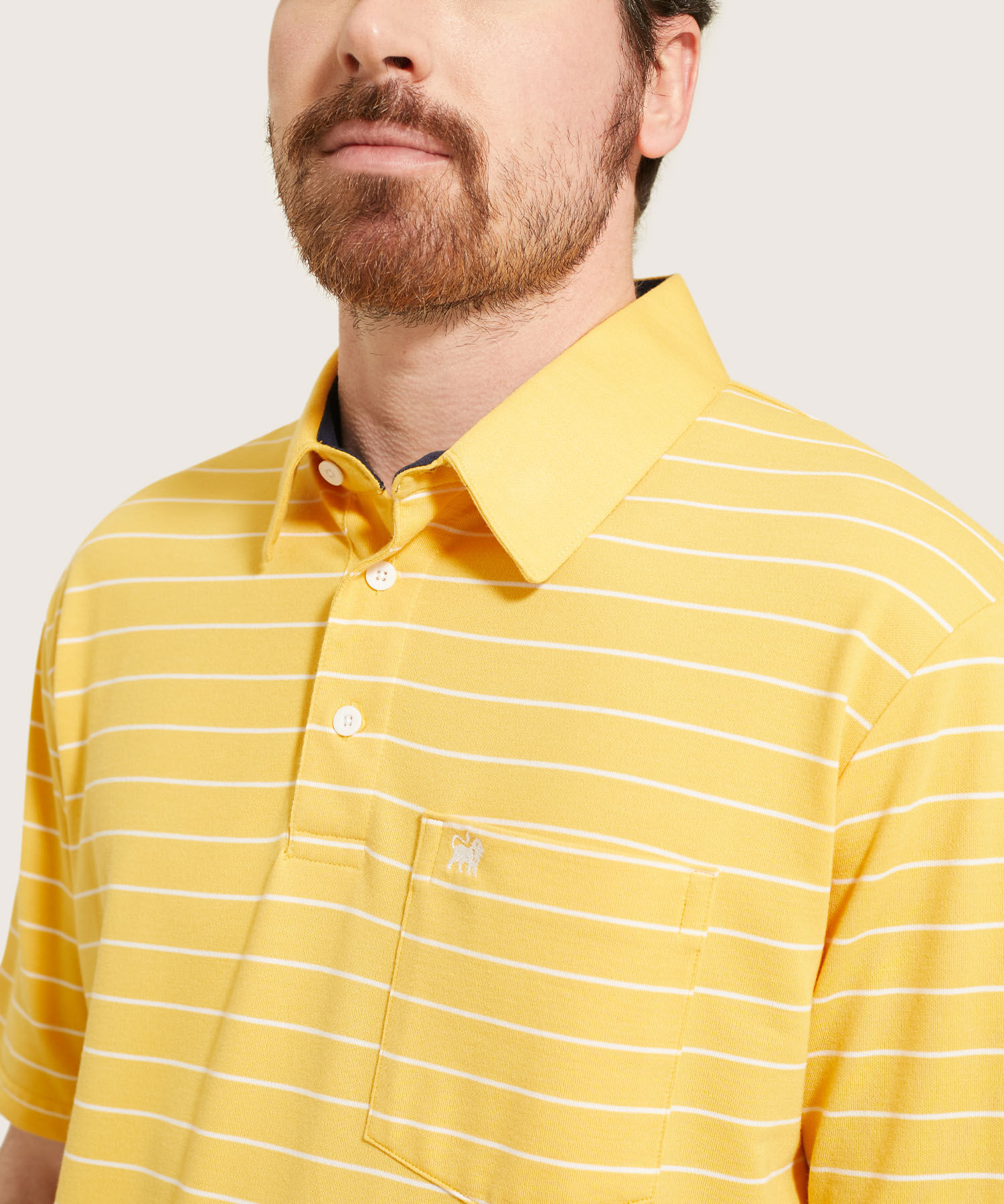 Polo Cuello Duro  Preteñido Bicolor