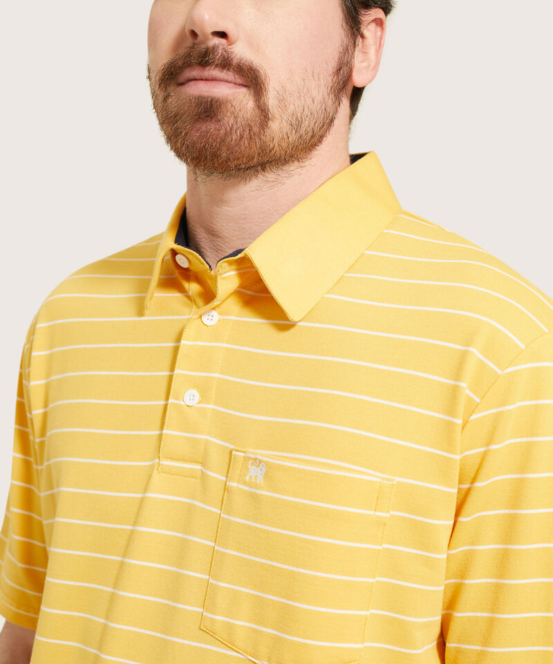 Polo Cuello Duro  Preteñido Bicolor