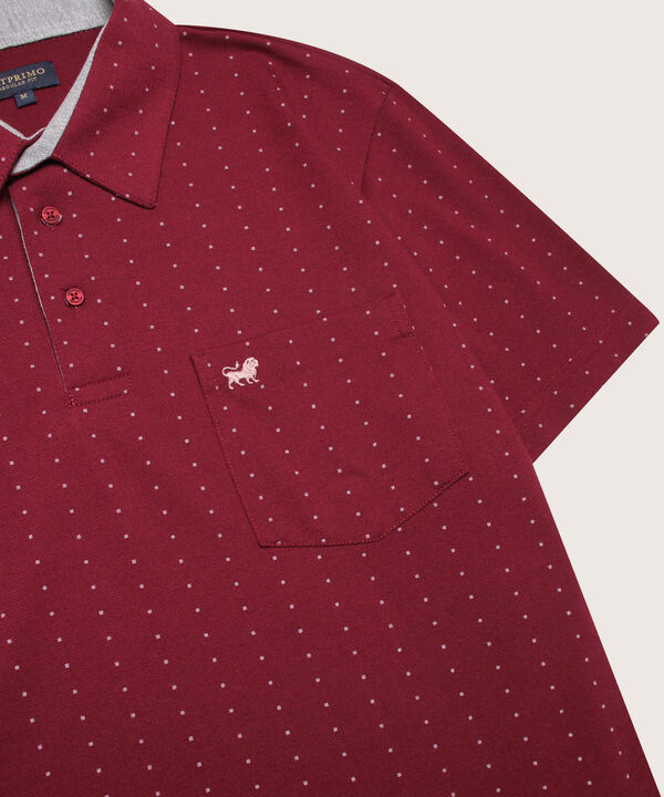 Polo Estampada Cuello Duro image number null