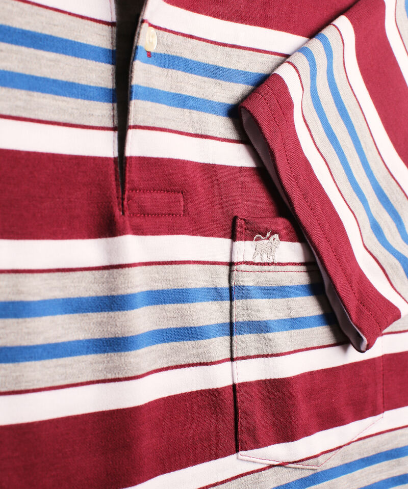 Polo Cuello Duro a Rayas