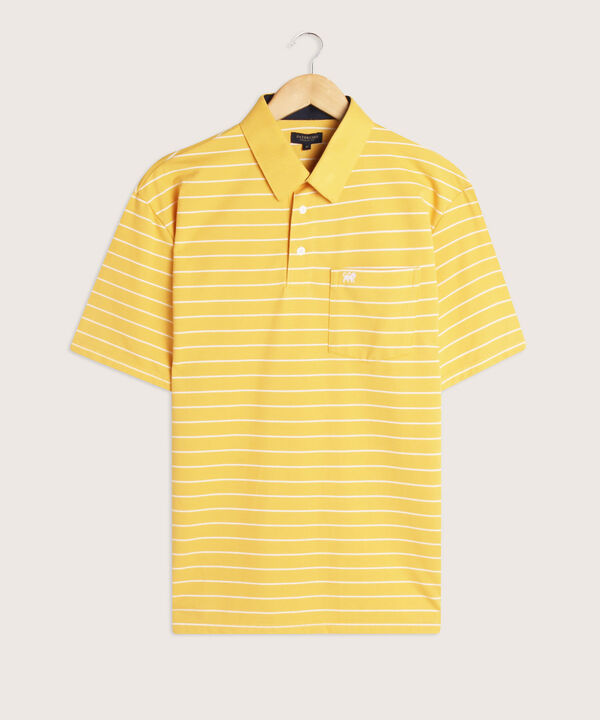 Polo Cuello Duro  Preteñido Bicolor