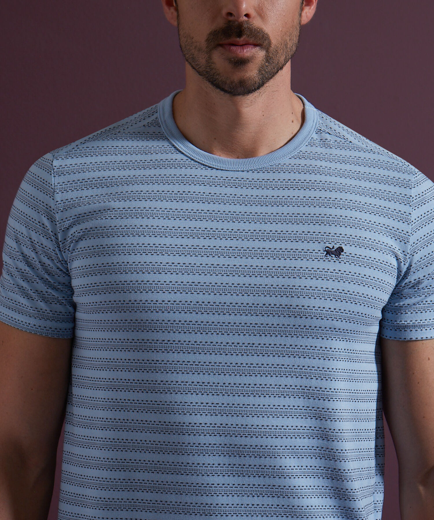 Camiseta Preteñida Textura, Manga Corta Con Cuello Redondo