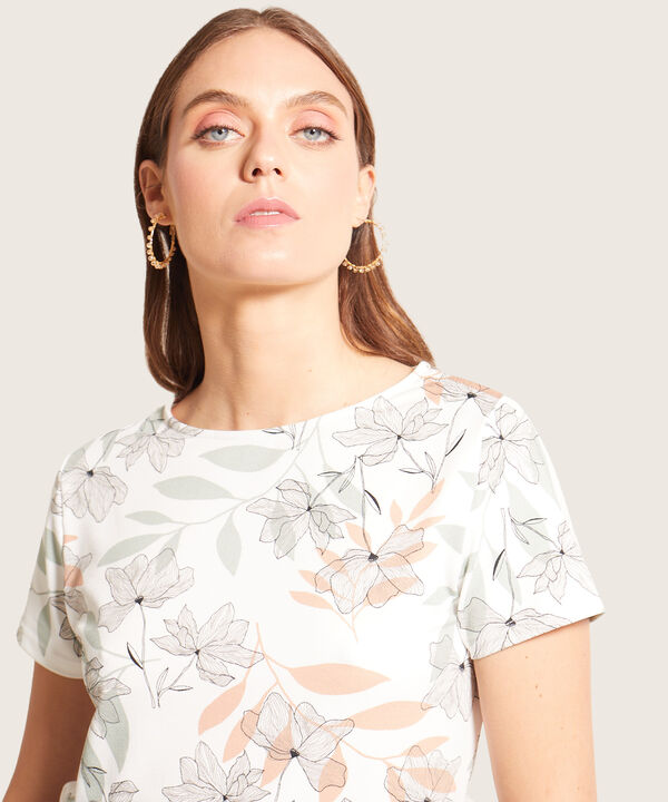 Camiseta Manga Corta Cuello