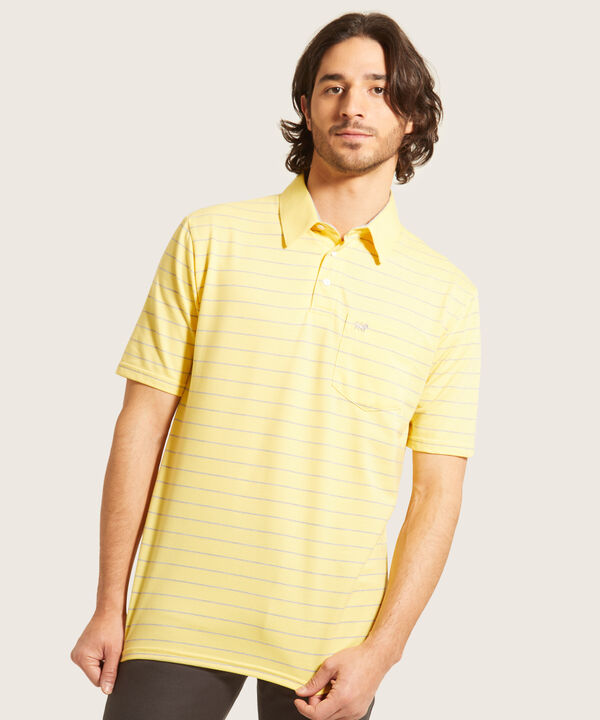 Polo Cuello Duro  Preteñido Bicolor