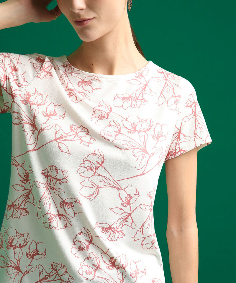 Camiseta Manga Corta Cuello Redondo Estampada