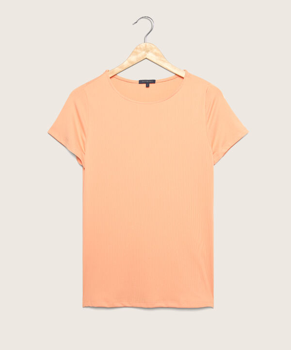 Camiseta Manga Corta Cuello