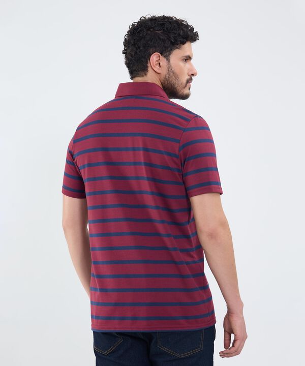 Polo Cuello Duro A Rayas