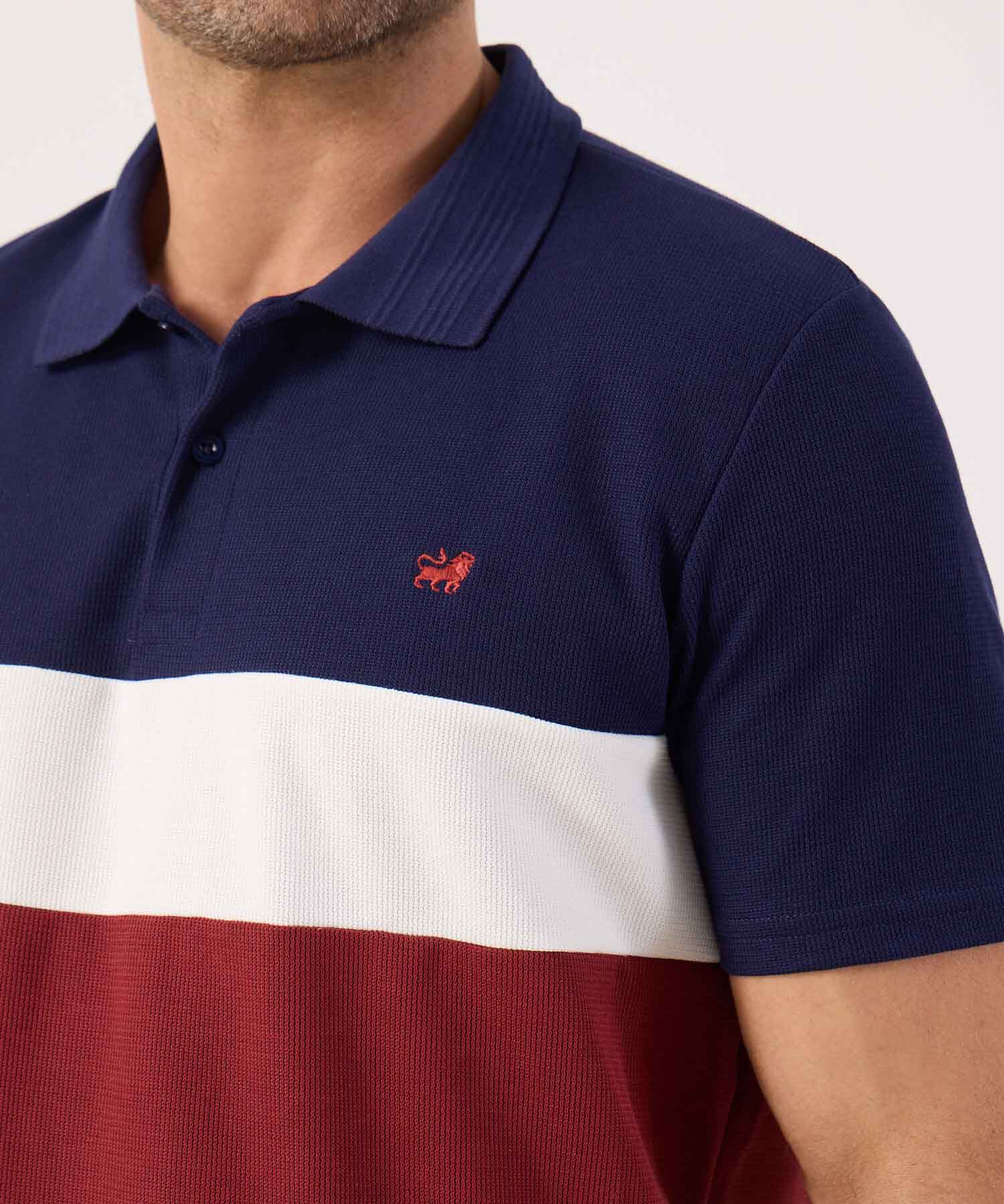 Polo En Bloques Con Bordado 