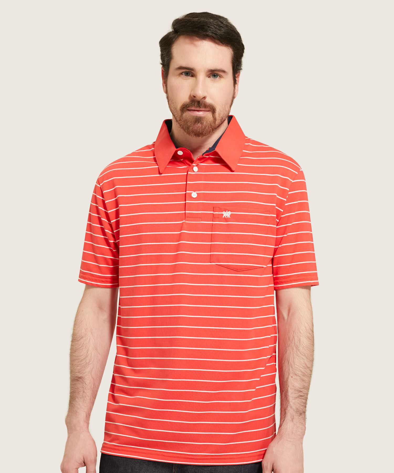 Polo Cuello Duro  Preteñido Bicolor