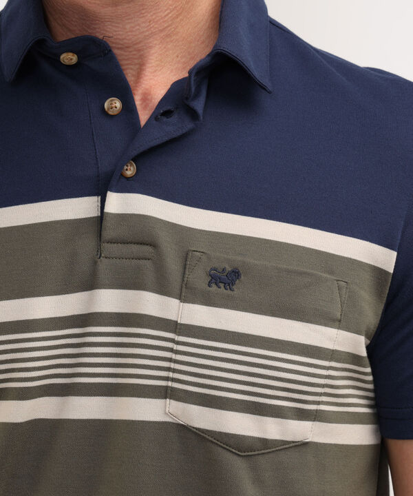 Polo Cuello Duro Regular Fit