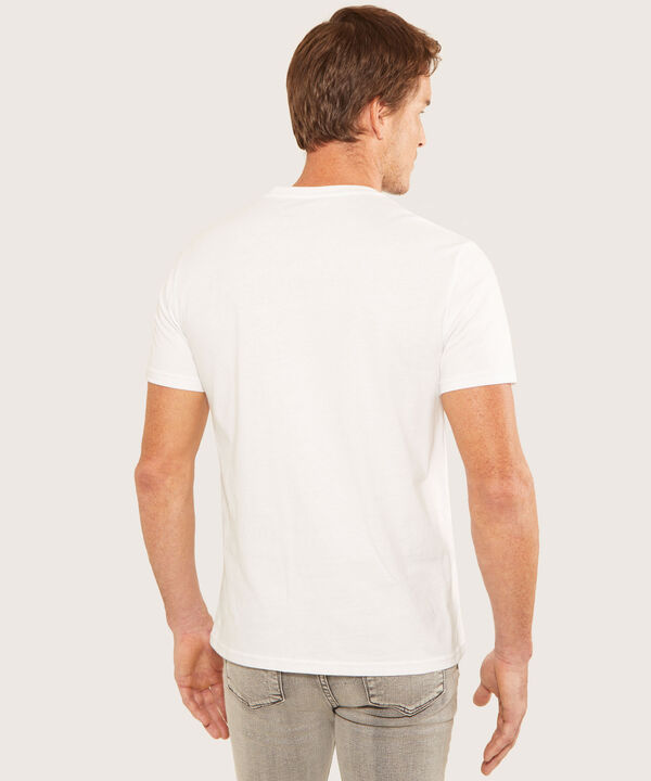 Camiseta Cuello Redondo  Con Estampado