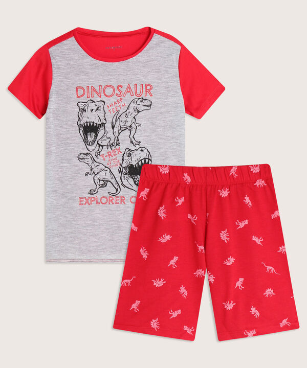 Pijama Camiseta Estampada Y Short image number null
