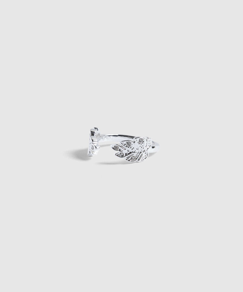 Anillo Abierto