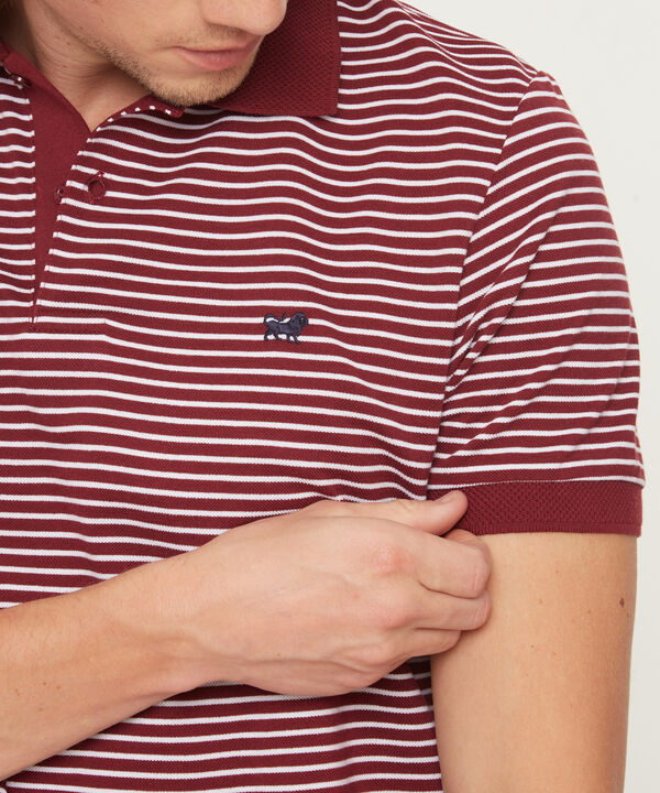 Polo Cuello Tejido Preteñido Bicolor Continuo image number null