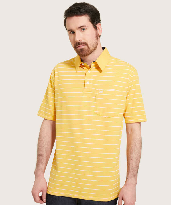 Polo Cuello Duro  Preteñido Bicolor