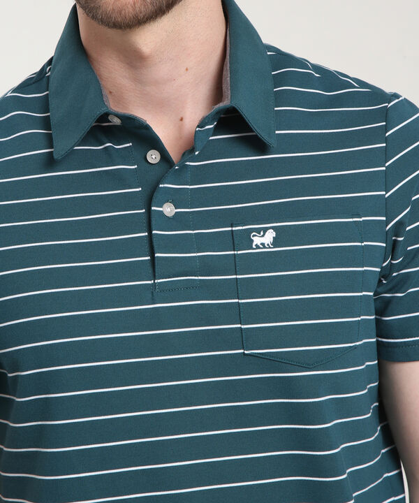 Polo Cuello Duro  Preteñido Bicolor