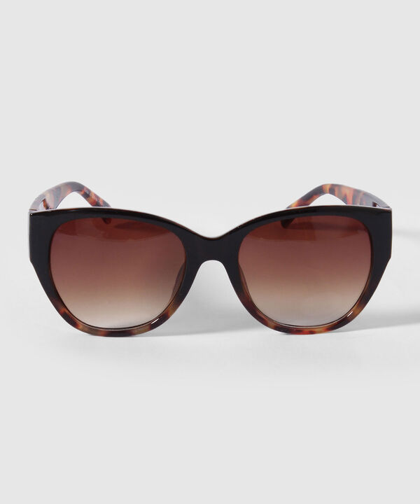 GAFAS image number null