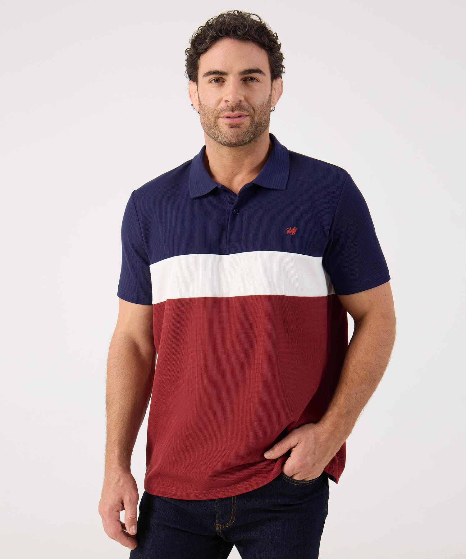 Polo En Bloques Con Bordado 