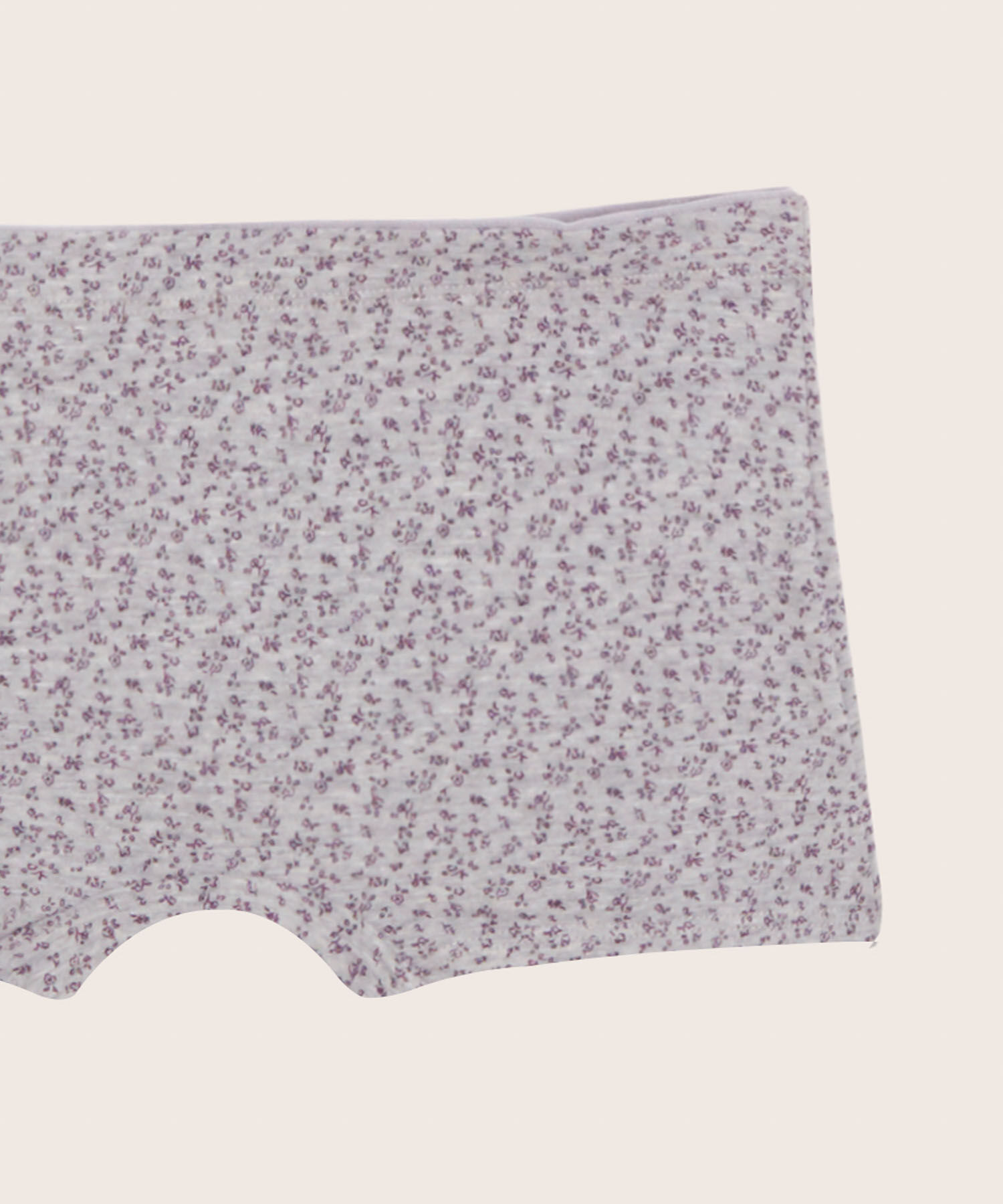Panties Para Mujer Tipo Bóxer