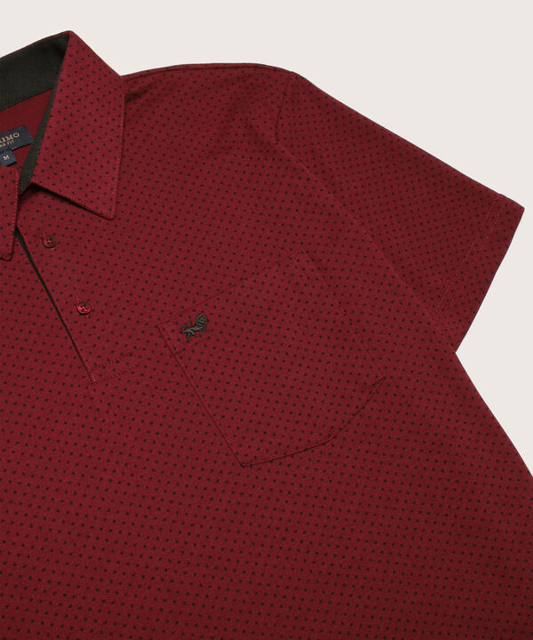 Polo Estampada Cuello Duro image number null