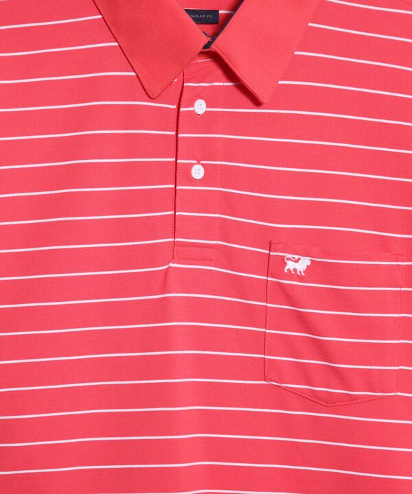 Polo Cuello Duro con Rayas image number null