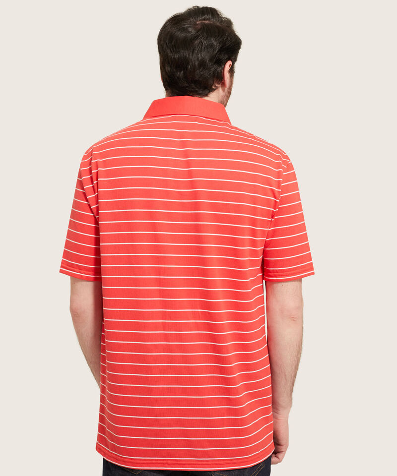 Polo Cuello Duro  Preteñido Bicolor