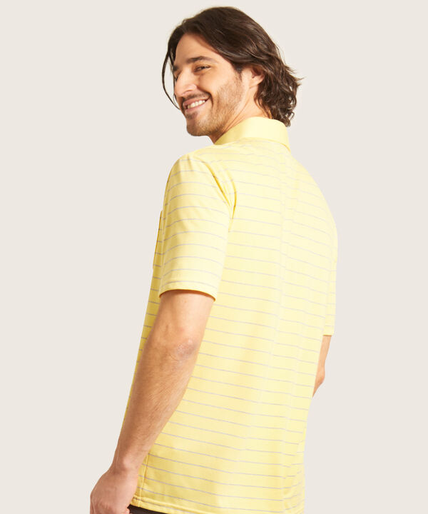 Polo Cuello Duro  Preteñido Bicolor