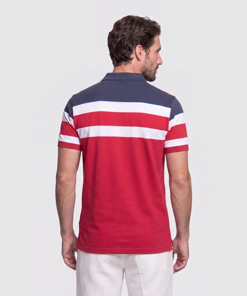 Polo Con Dise&ntilde;o De Bloques Y Franjas 